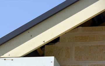 Pennorth fascia repairs