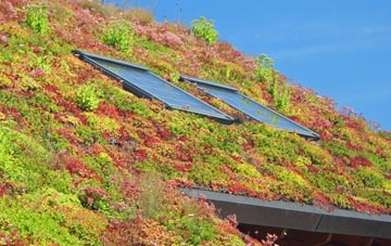 Pennorth living roof systems